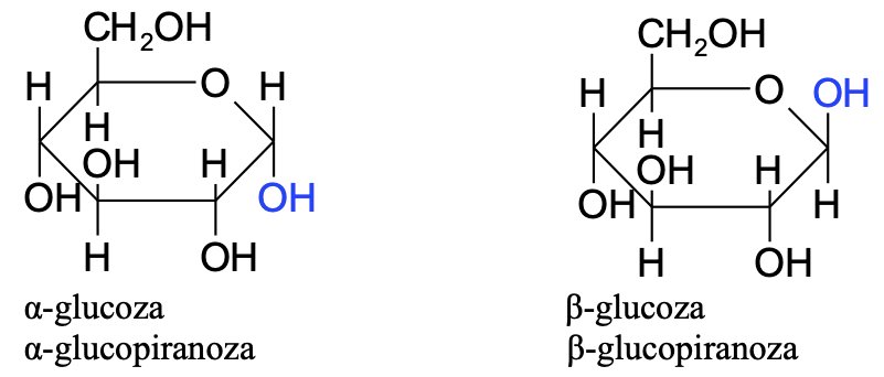 A diagram of the same type of glutamate
Description automatically generated with medium confidence