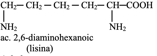 A black text on a white background
Description automatically generated